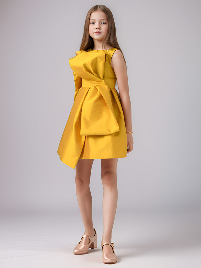 Paris Bow Detail Dress