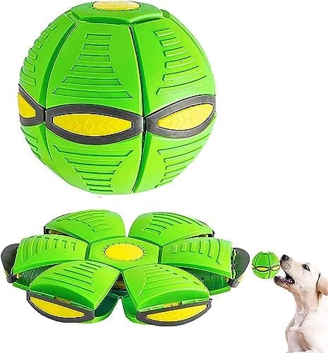 Pet Magic Ball Dog Toy Balls Interactive Herding Decompression Toys Pet Clever