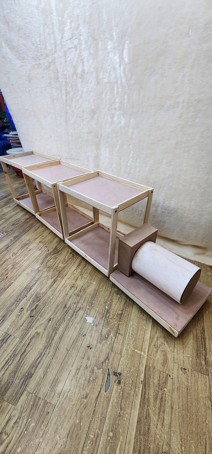 TYPE 1