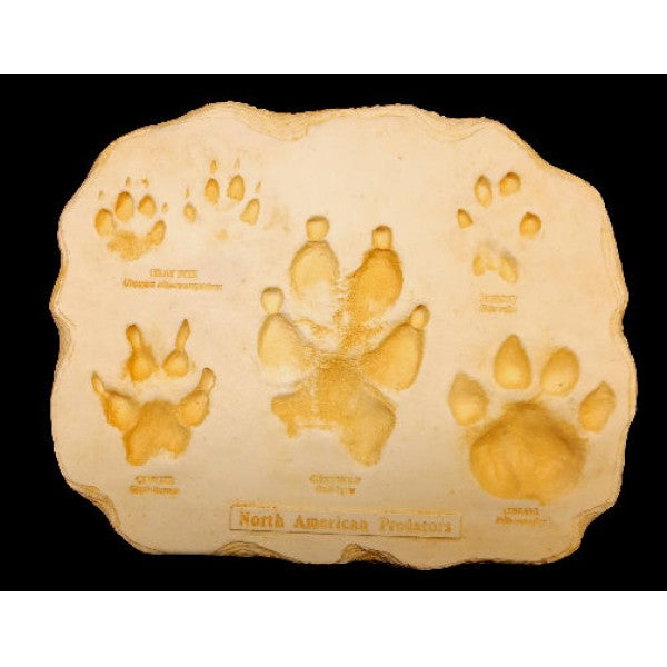Predator Footprint Replica Plaque - dinosaursrocksuperstore