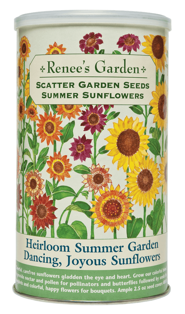 Renee’s Garden Scatter Gardens Heirloom Summer Garden Dancing, Joyous Sunflowers