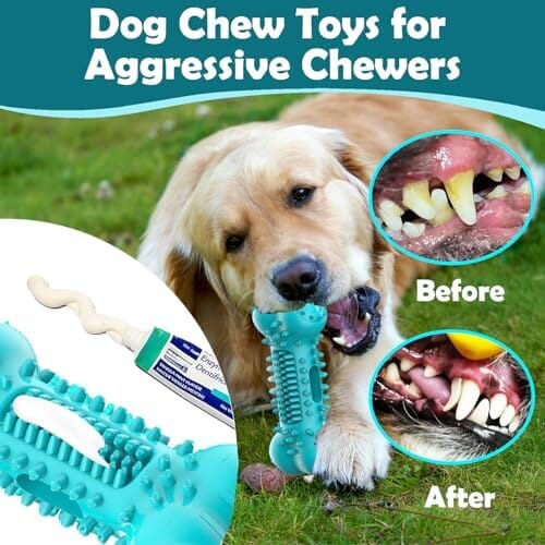 Stick Bone for Dog Teeth Cleaning Toothbrush Pet Clever