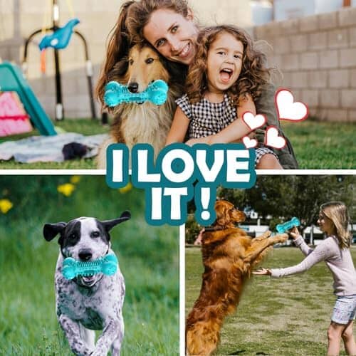 Stick Bone for Dog Teeth Cleaning Toothbrush Pet Clever