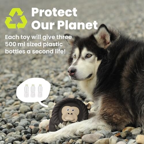 Toss and Throw Tug Toy, Eco-Friendly Indestructible Dog Toys Toys Pet Clever