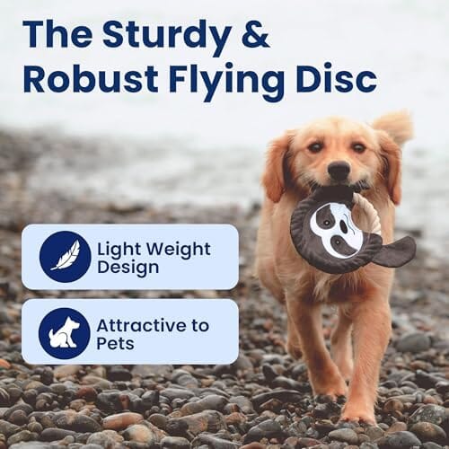 Toss and Throw Tug Toy, Eco-Friendly Indestructible Dog Toys Toys Pet Clever