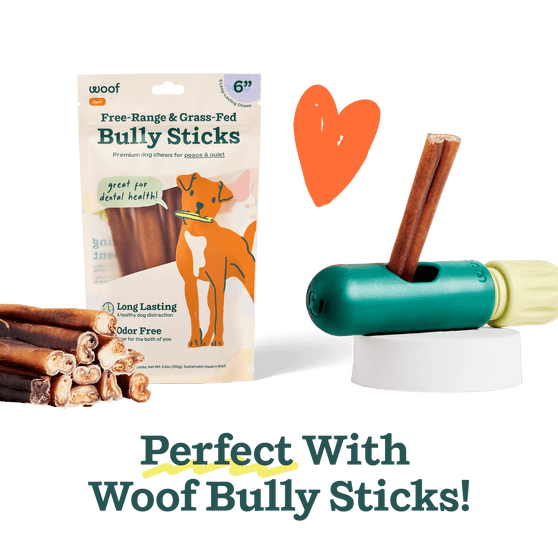 Woof The BullySafe Chew Holder Dog Toy